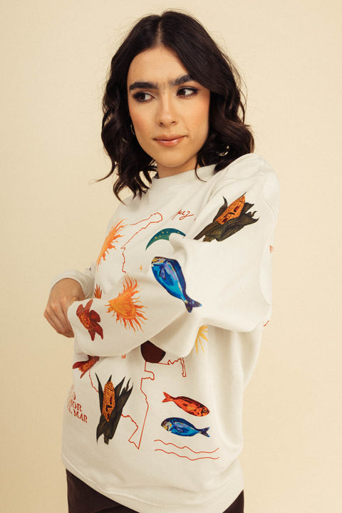 Camibuso Colombia